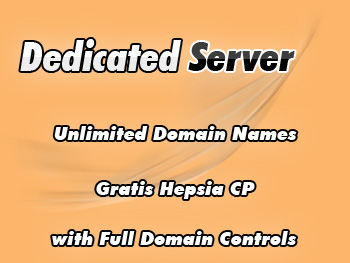 Cut-price dedicated hosting server plan